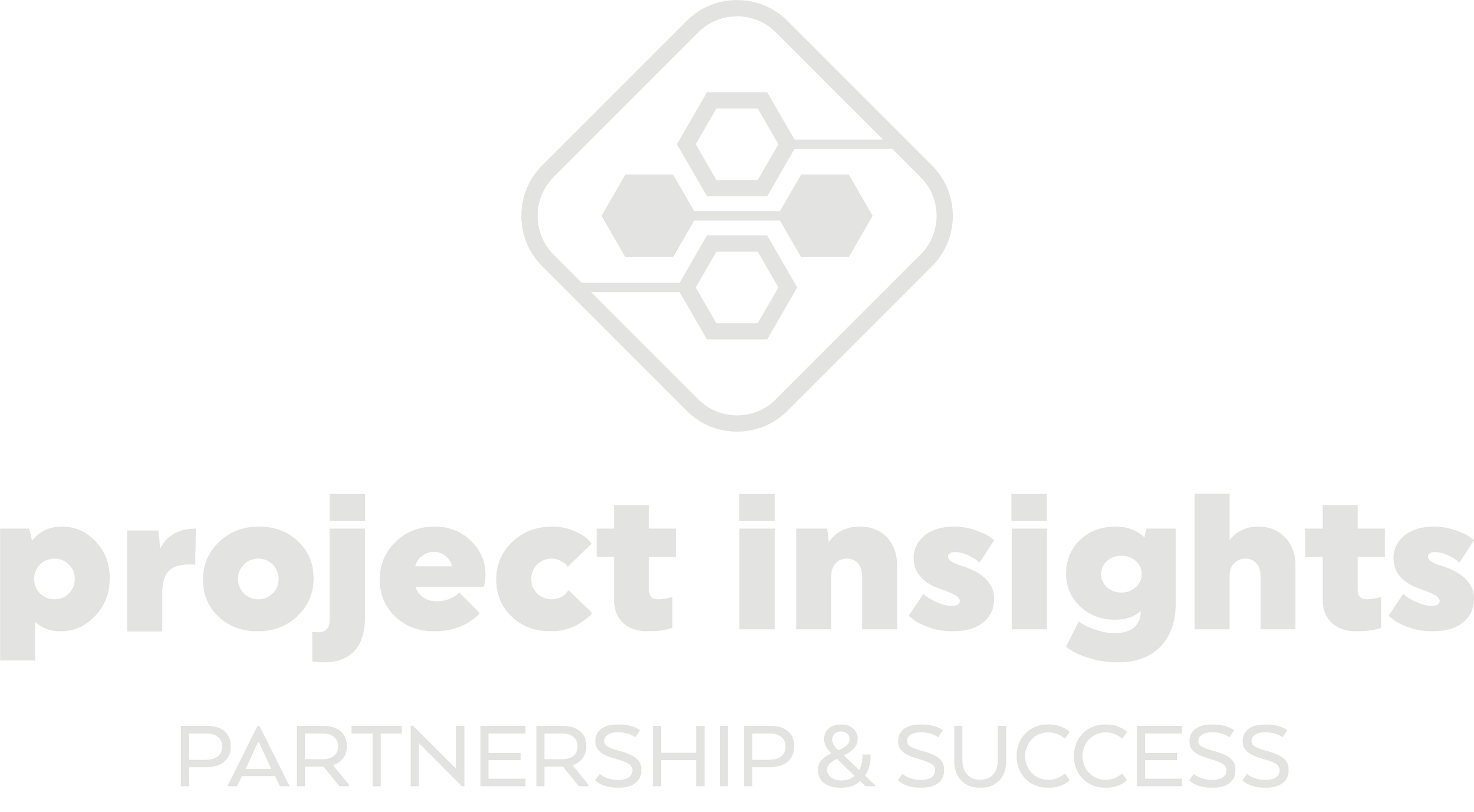 Project Insights
